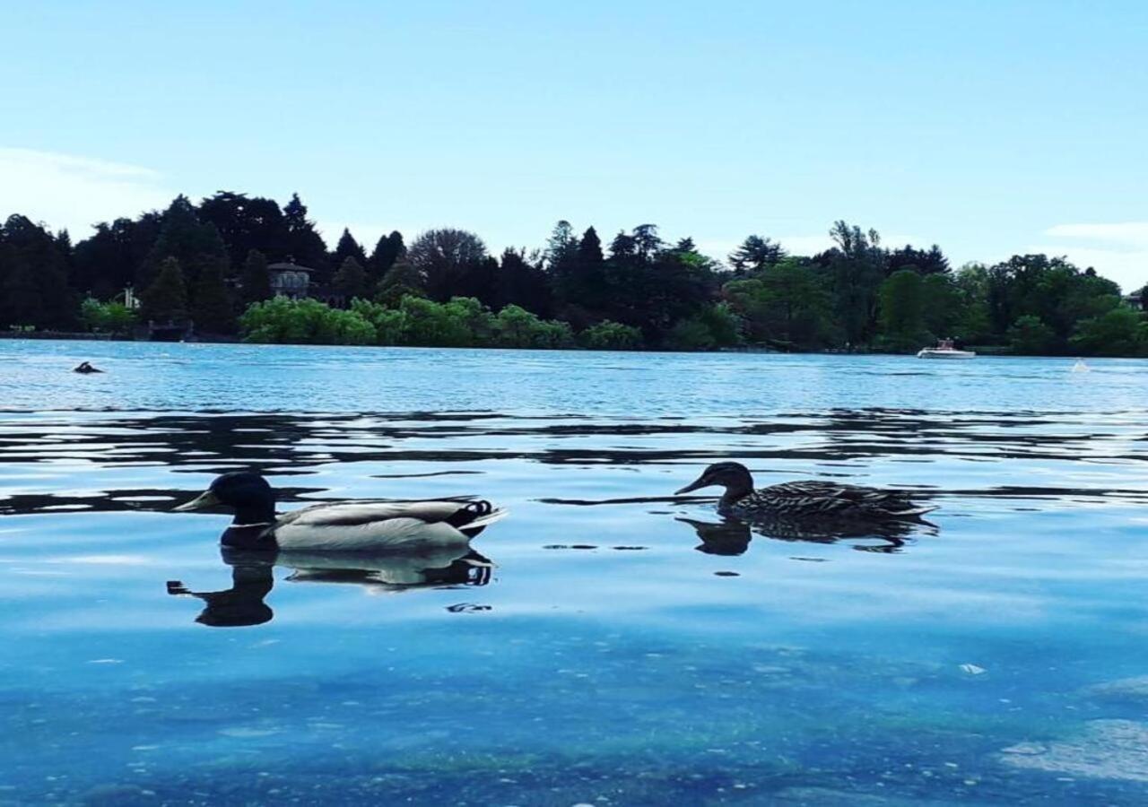 Corte Del Sole Dormelletto Dış mekan fotoğraf